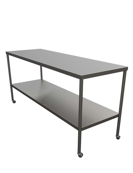 Stainless Steel Instrument Table 24 X 72