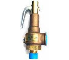 Safety Valve 40 PSI (Steam) 1