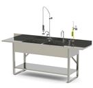 Double Processing Sink