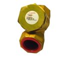 GETINGE/CASTLE CHECK VALVE 1