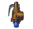 SAFETY VALVE, 1/2 X 1