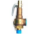 Safety Valve 40 PSI (Steam) 1