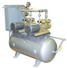 Tri-Tech Dry Rotary Vane Vacuum System